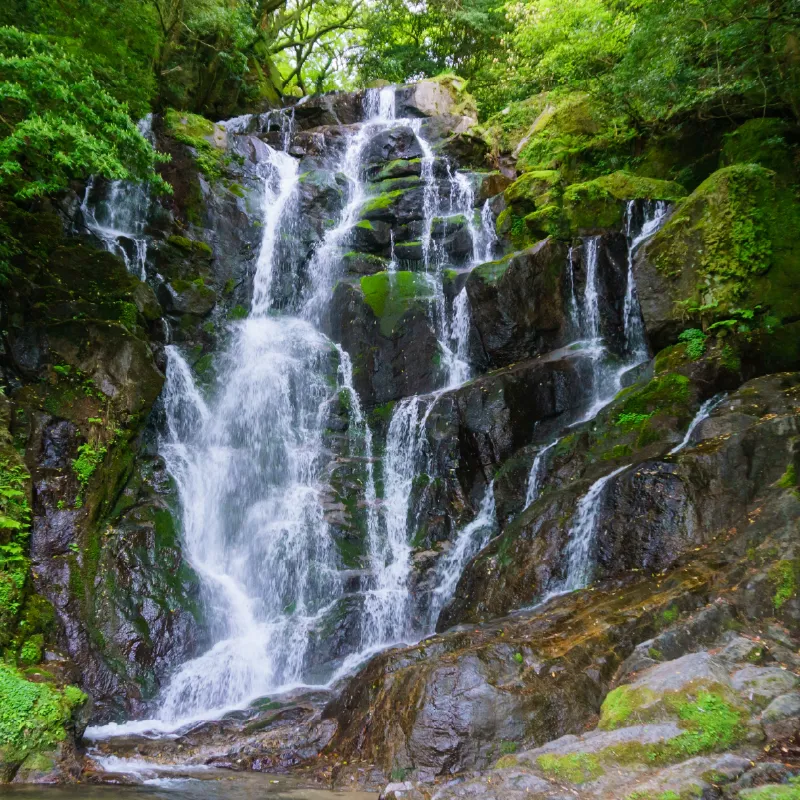 白糸の滝